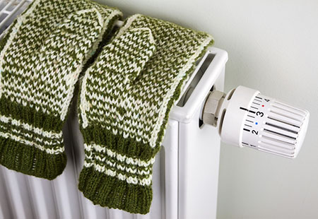 seasonal advice from hb shrop