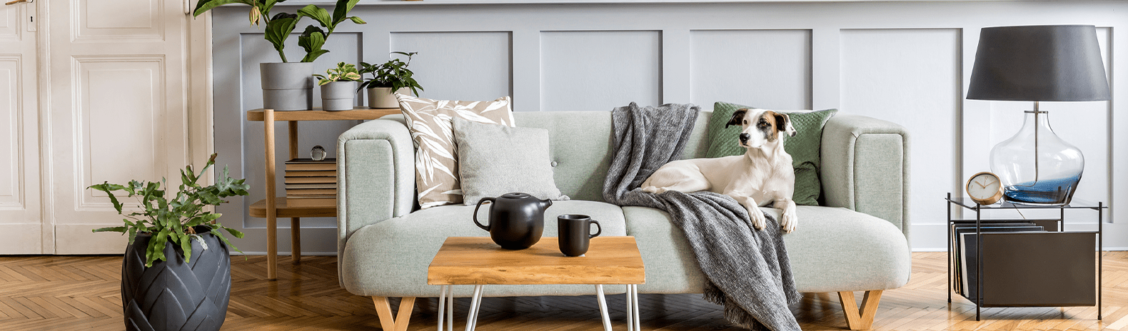 Estate Agents and Letting Agents in Shropshire