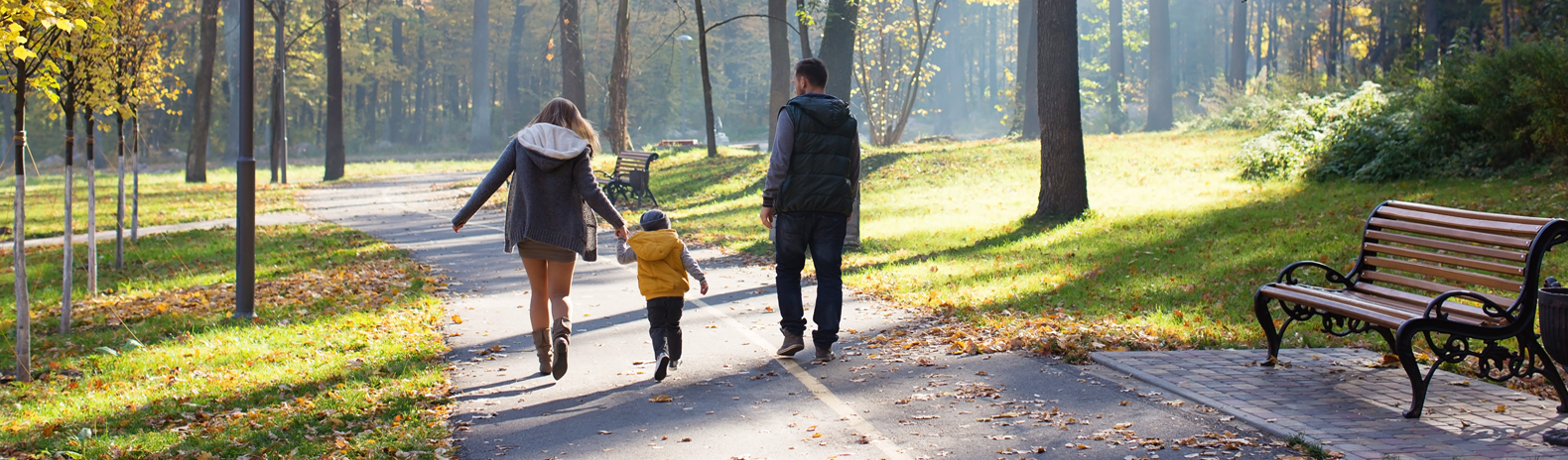 Estate Agents and Letting Agents in Shropshire