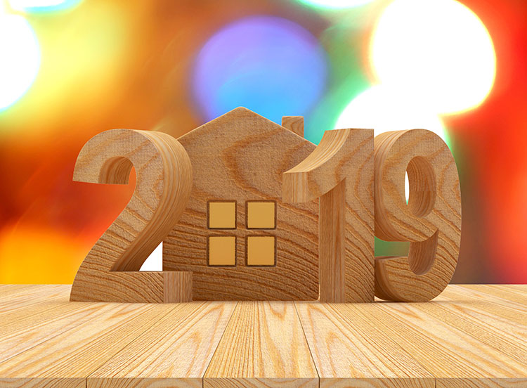 holland broadnridge estate agents 2019